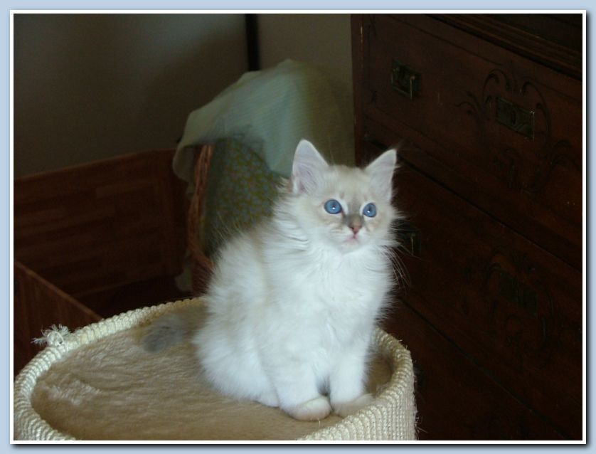 foto fuji282 012